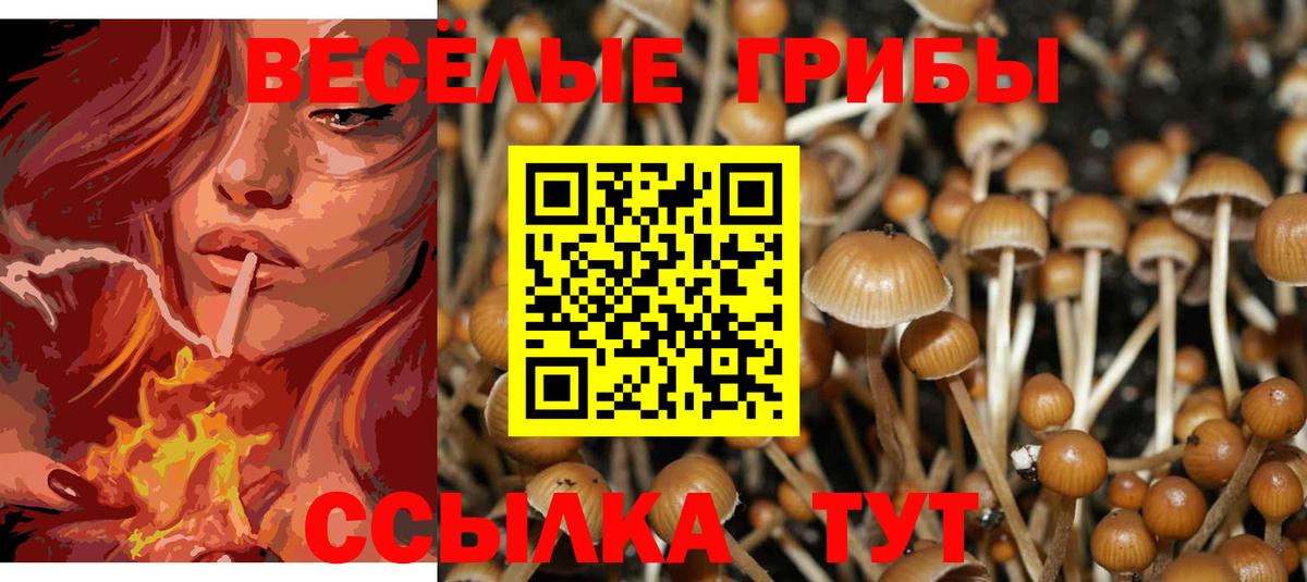 Псилоцибиновые грибы мухоморы Узловая